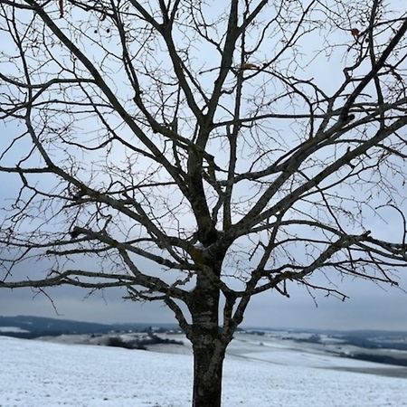 Eifel-Bau-Traum Schlich Vila Wershofen Exterior foto