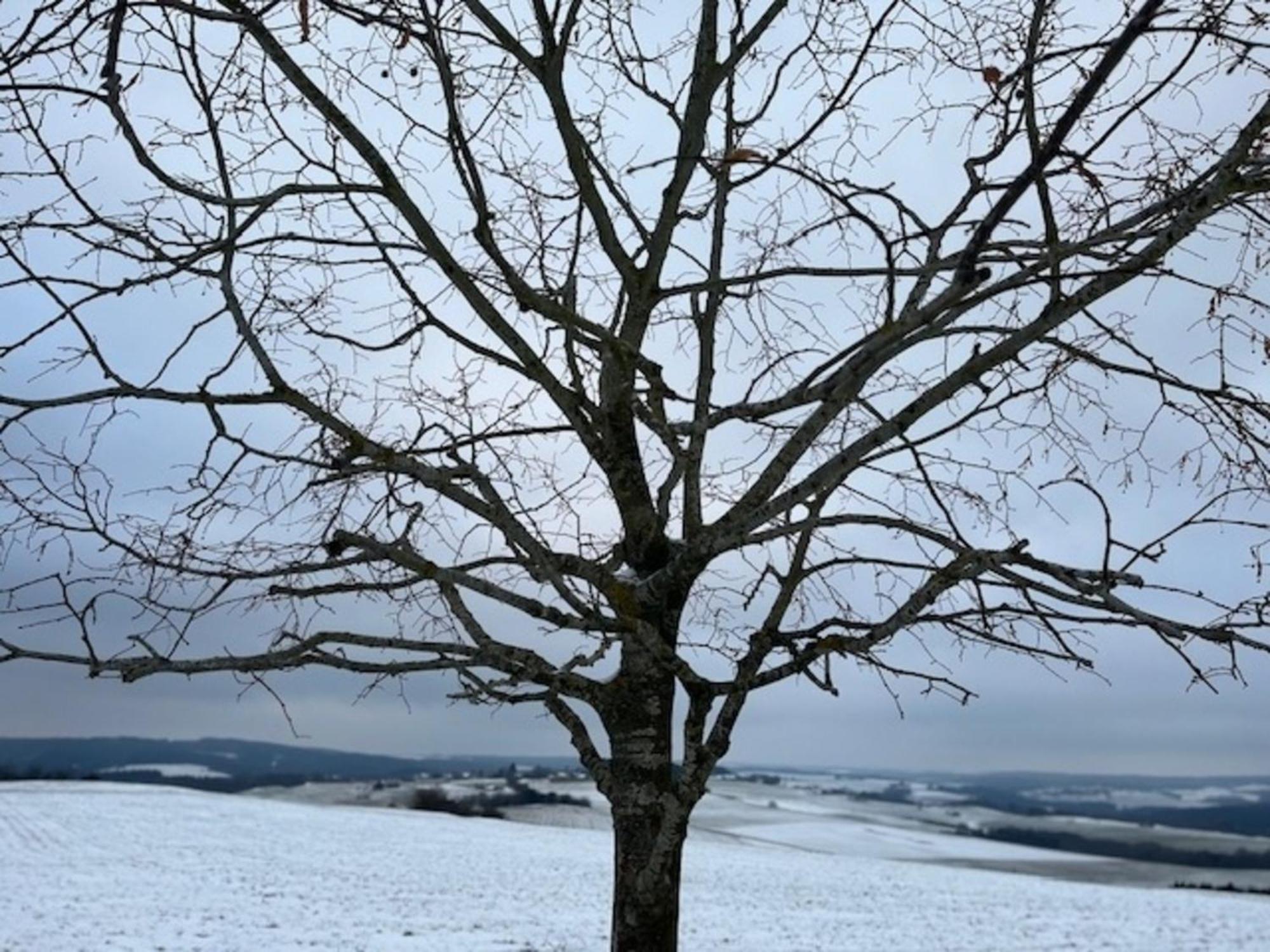 Eifel-Bau-Traum Schlich Vila Wershofen Exterior foto